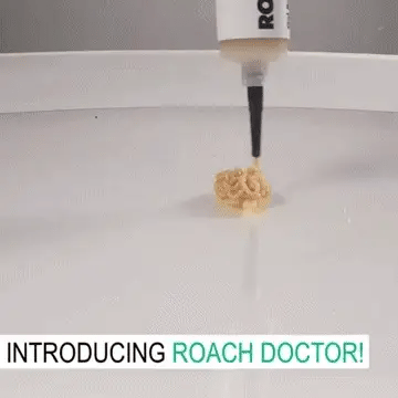 Cockroach Killing Gel