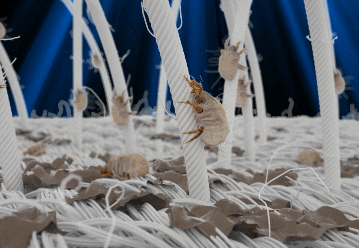 HANDHELD UV VACUUM CLEANER