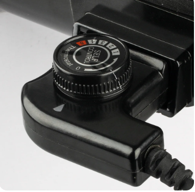 Multi-functional Electric Baking Pan ©