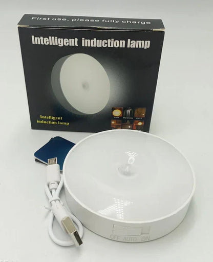 Motion Sensor LED Night Light