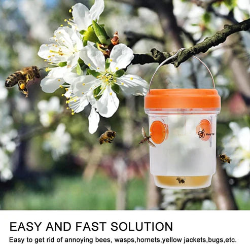 Solar-Powered Wasp Trap