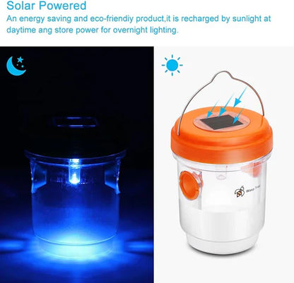 Solar-Powered Wasp Trap